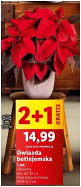 Gwiazda betlejemska - 32 cm - Lidl - 9.99 zł - od 12.12.2024 do 15.12.2024