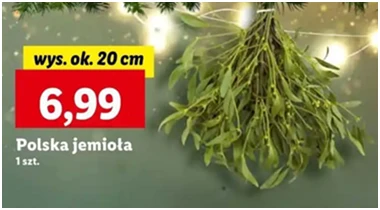 Jemioła - Lidl - 6.99 zł - od 12.12.2024 do 15.12.2024