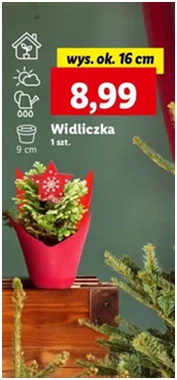 Widliczka - 16 cm - Lidl - 8.99 zł - od 12.12.2024 do 15.12.2024