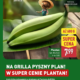 Gazetka Aldi od 05.06.2025 do 07.06.2025