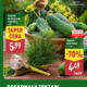 Gazetka Aldi od 09.06.2025 do 14.06.2025