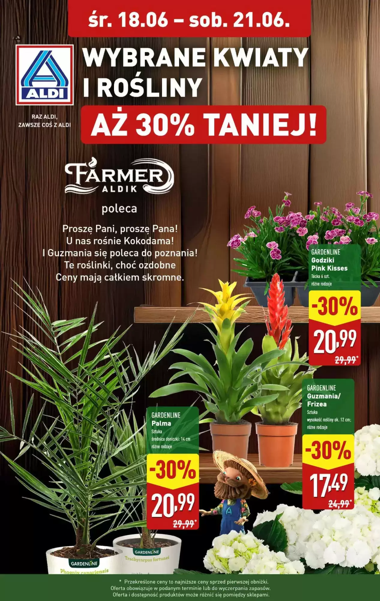 Gazetka Aldi od 18.06.2025 do 21.06.2025