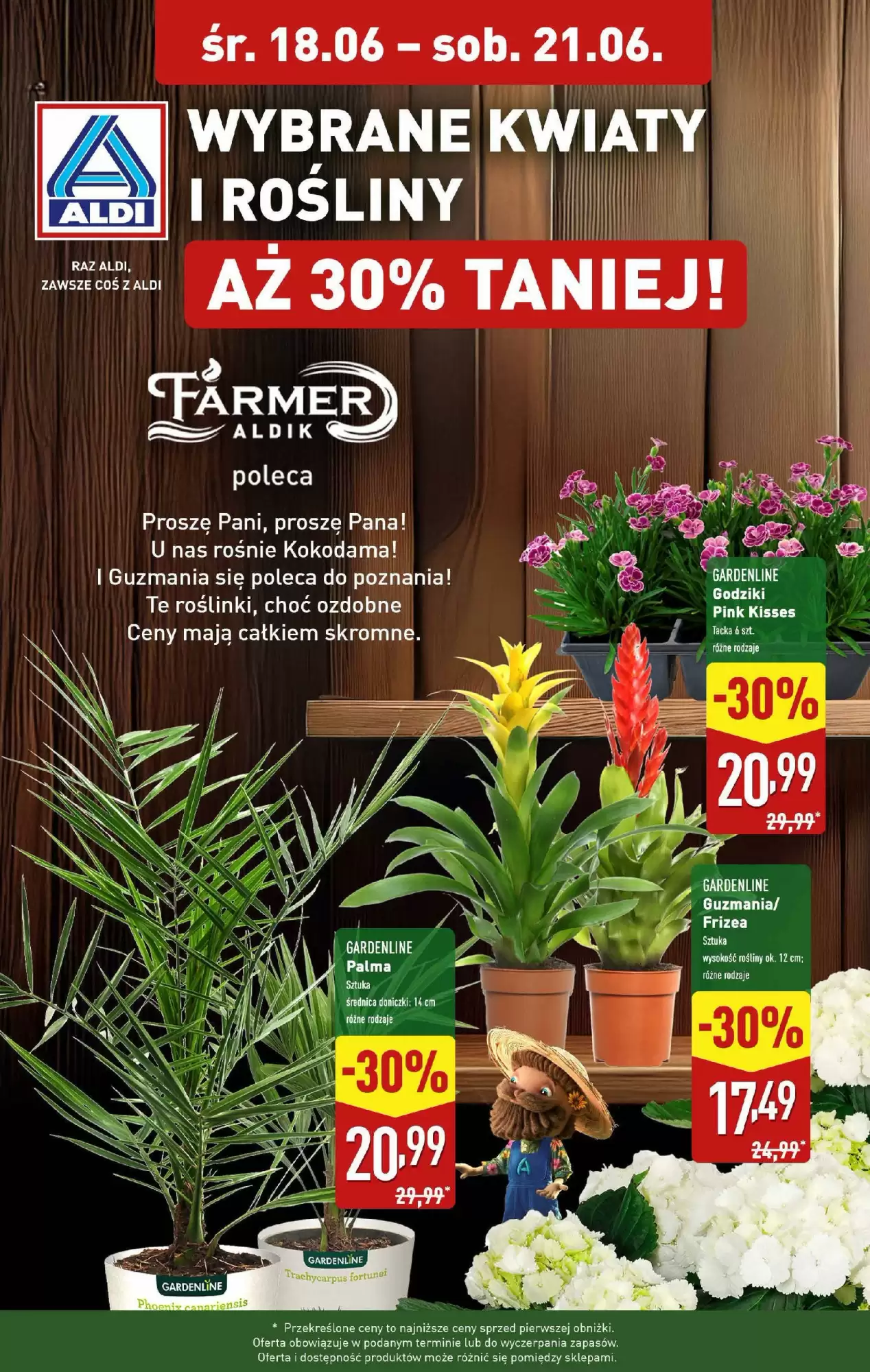 Gazetka Aldi od 18.06.2025 do 21.06.2025