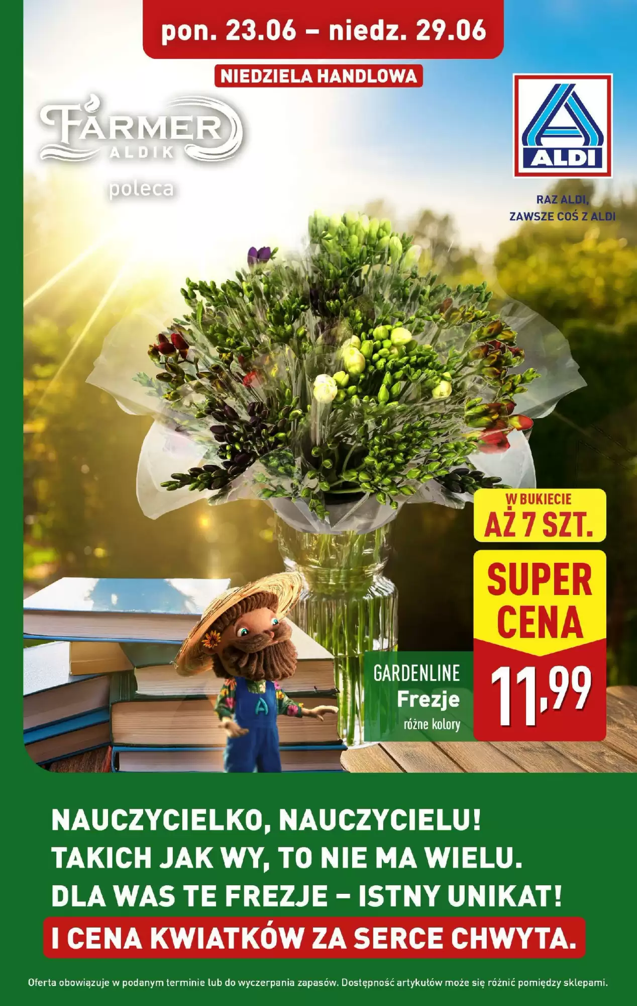 Gazetka Aldi od 23.06.2025 do 29.06.2025