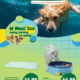 Gazetka Maxi Zoo od 01.06.2025 do 31.08.2025