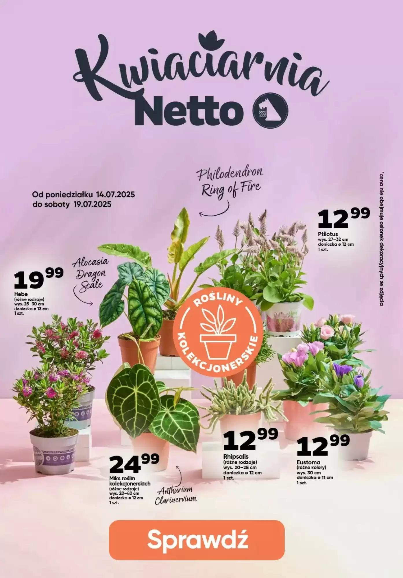 Gazetka Netto od 17.07.2025 do 19.07.2025