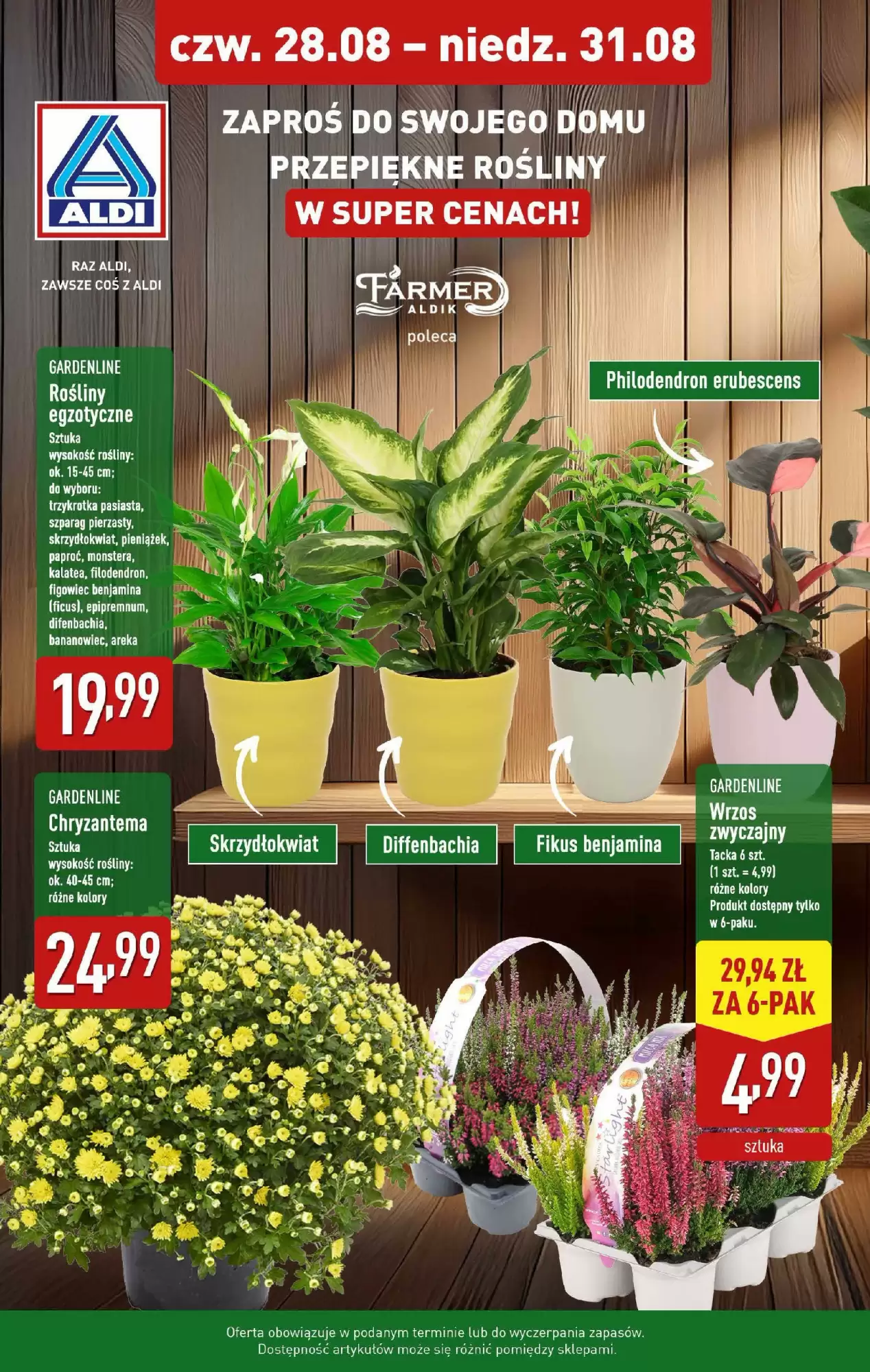 Gazetka Aldi od 28.08.2025 do 31.08.2025