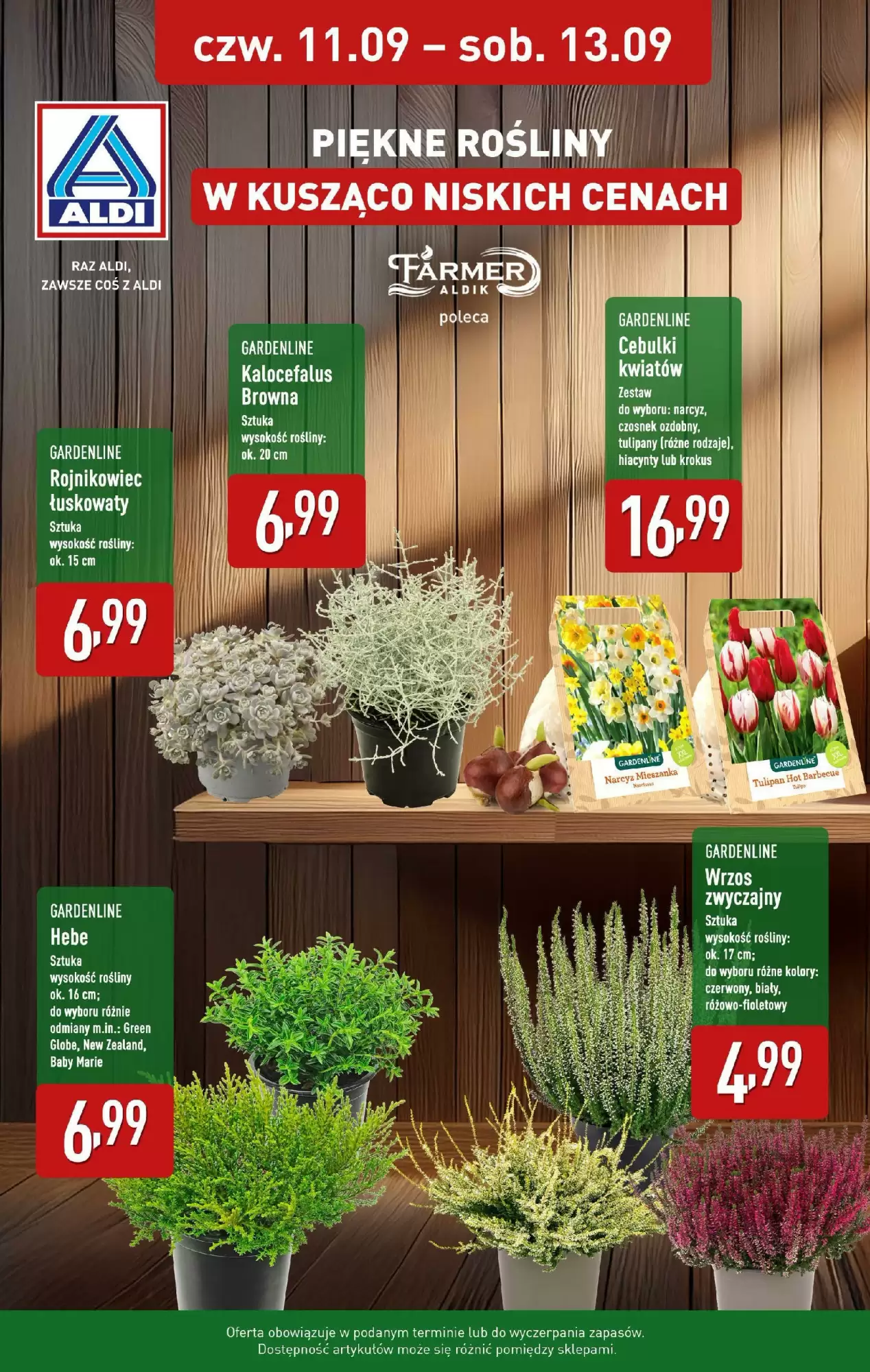 Gazetka Aldi od 11.09.2025 do 13.09.2025