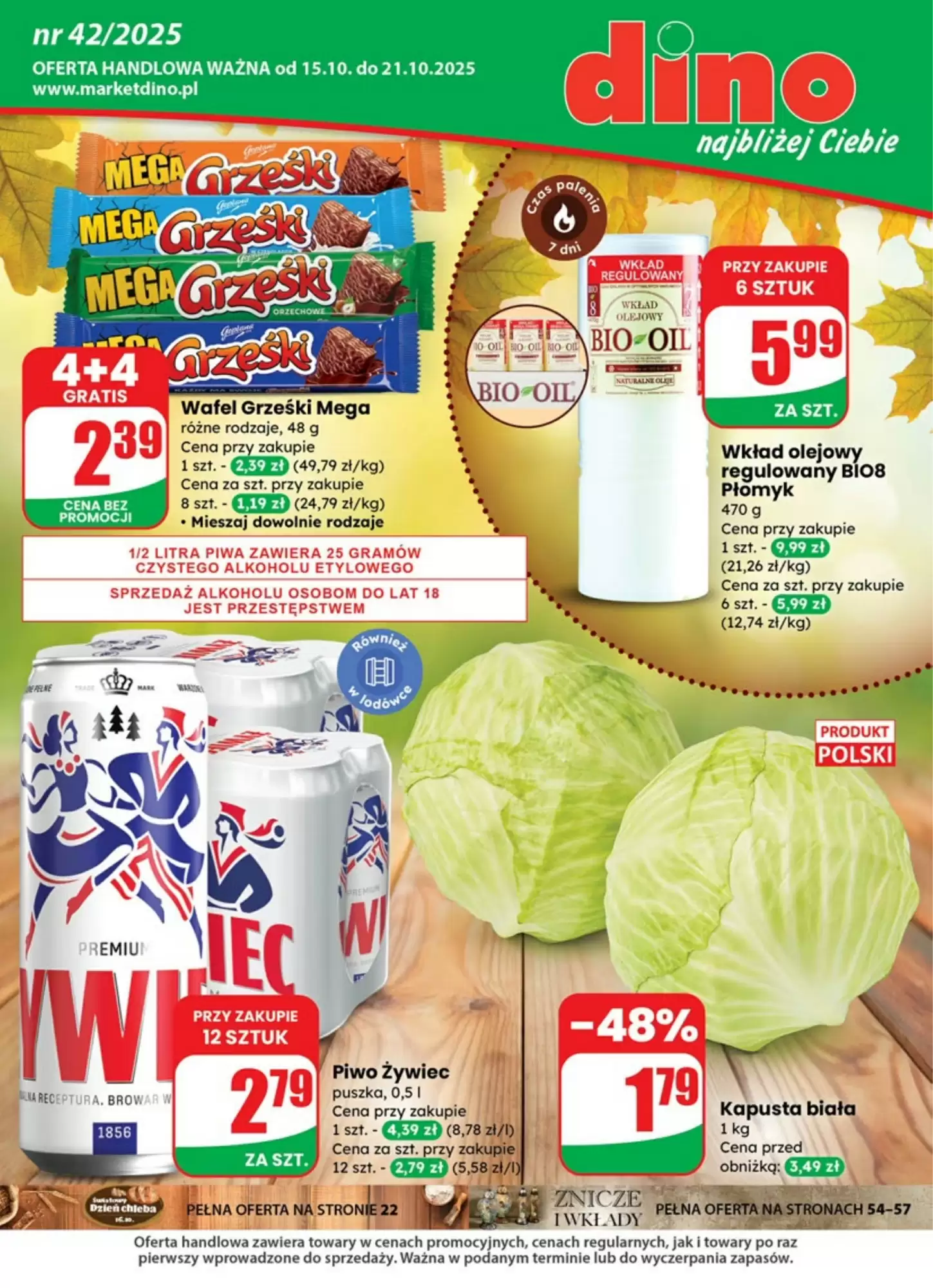 Gazetka Dino od 15.10.2025 do 21.10.2025