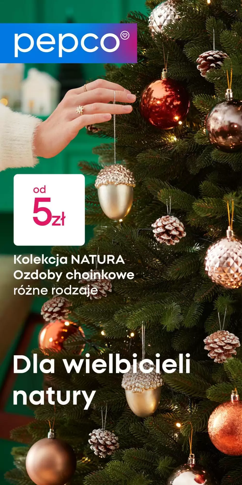 Gazetka Pepco od 02.11.2025 do 10.11.2025