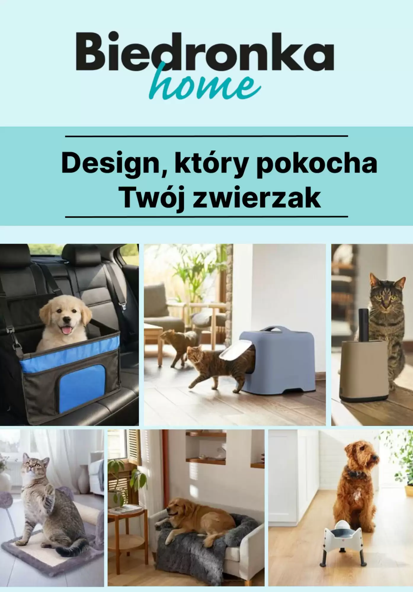 Gazetka Biedronka od 23.02.2026 do 07.03.2026