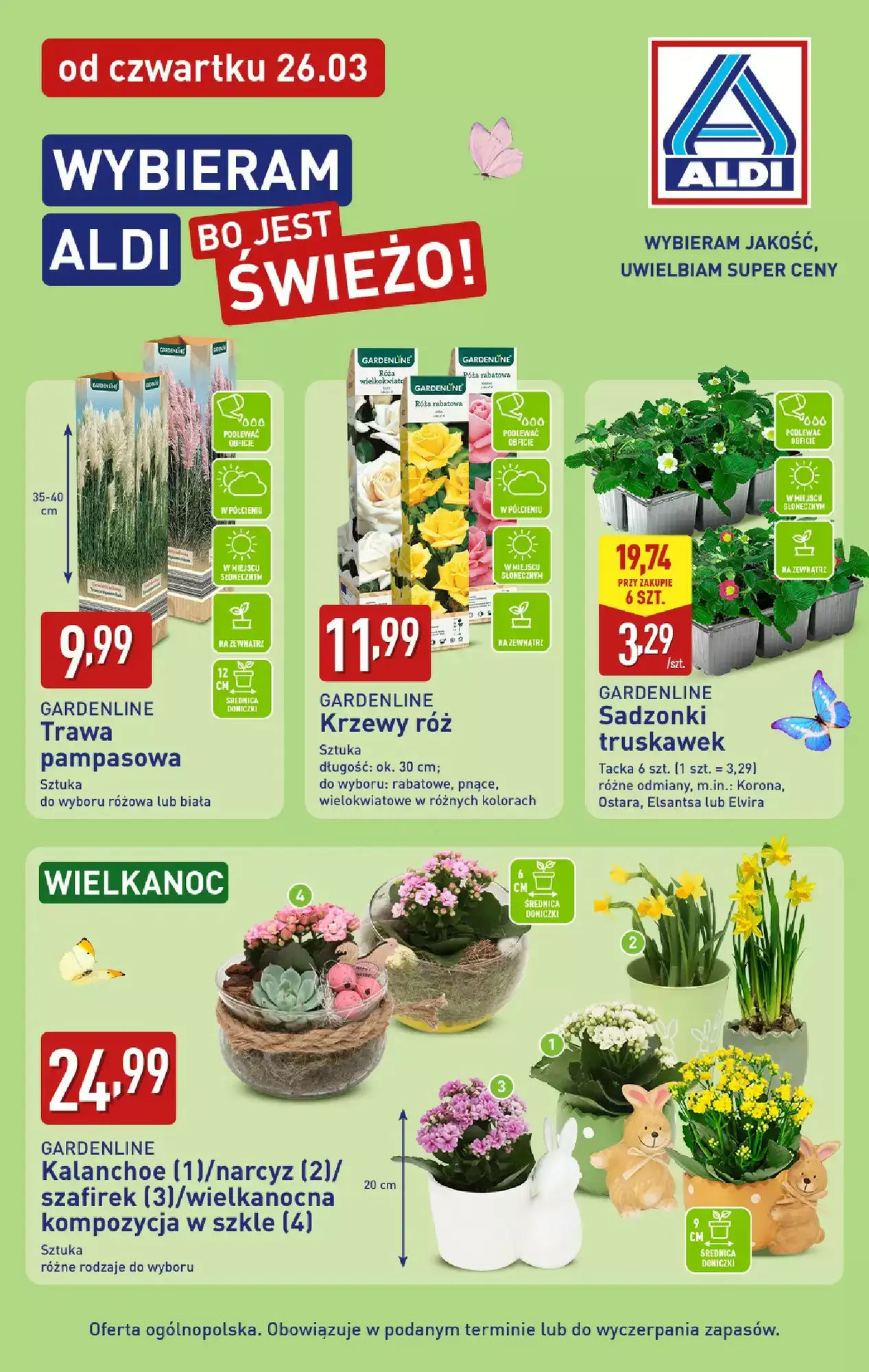 Gazetka Aldi od 26.03.2026 do 29.03.2026