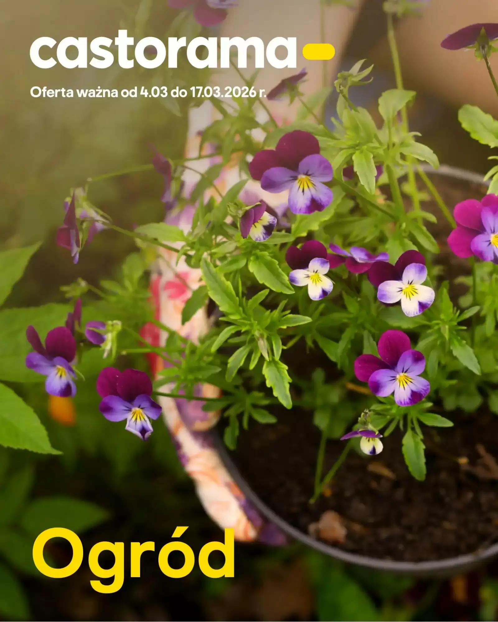 Gazetka Castorama od 04.03.2026 do 17.03.2026