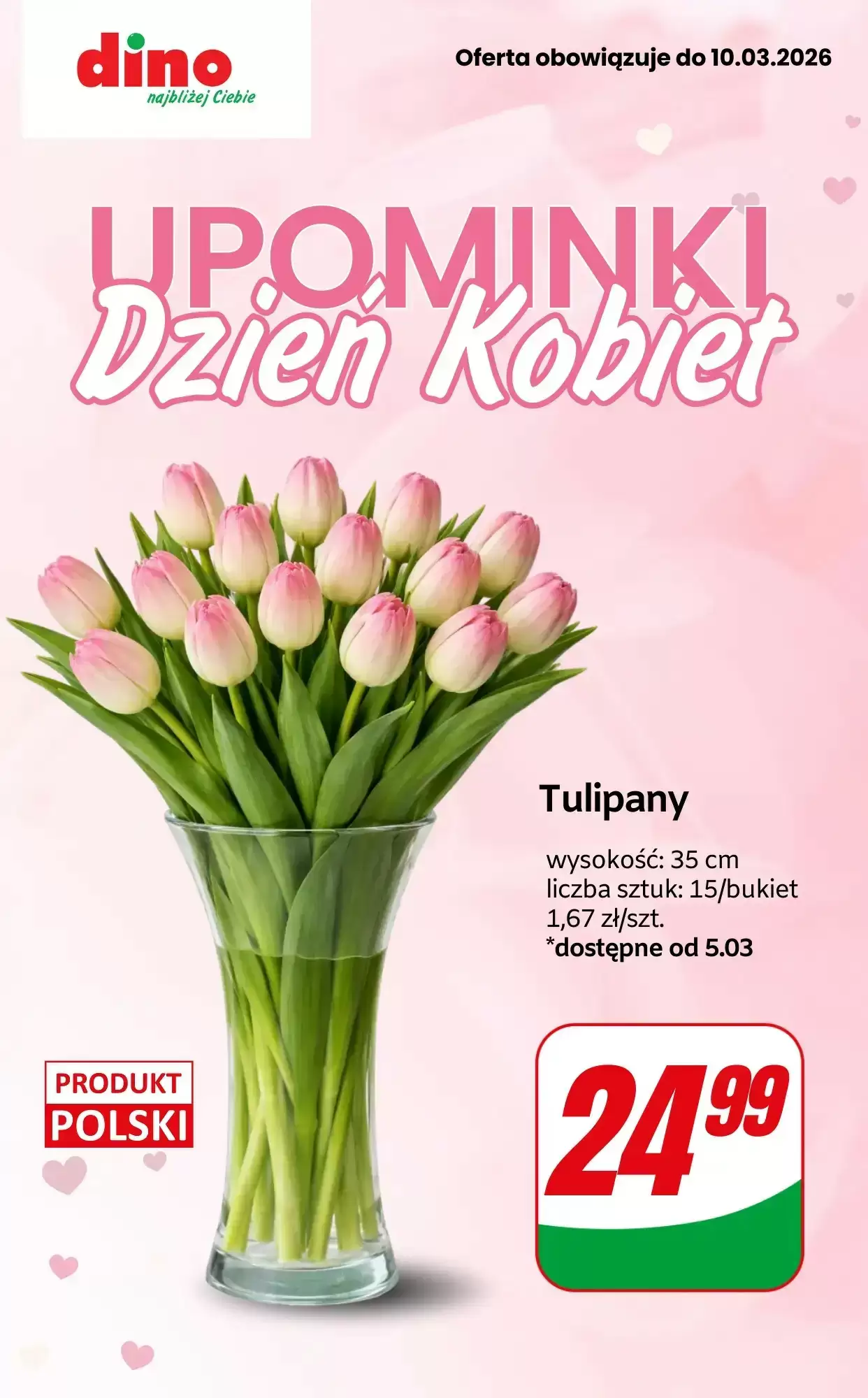 Gazetka Dino od 05.03.2026 do 10.03.2026
