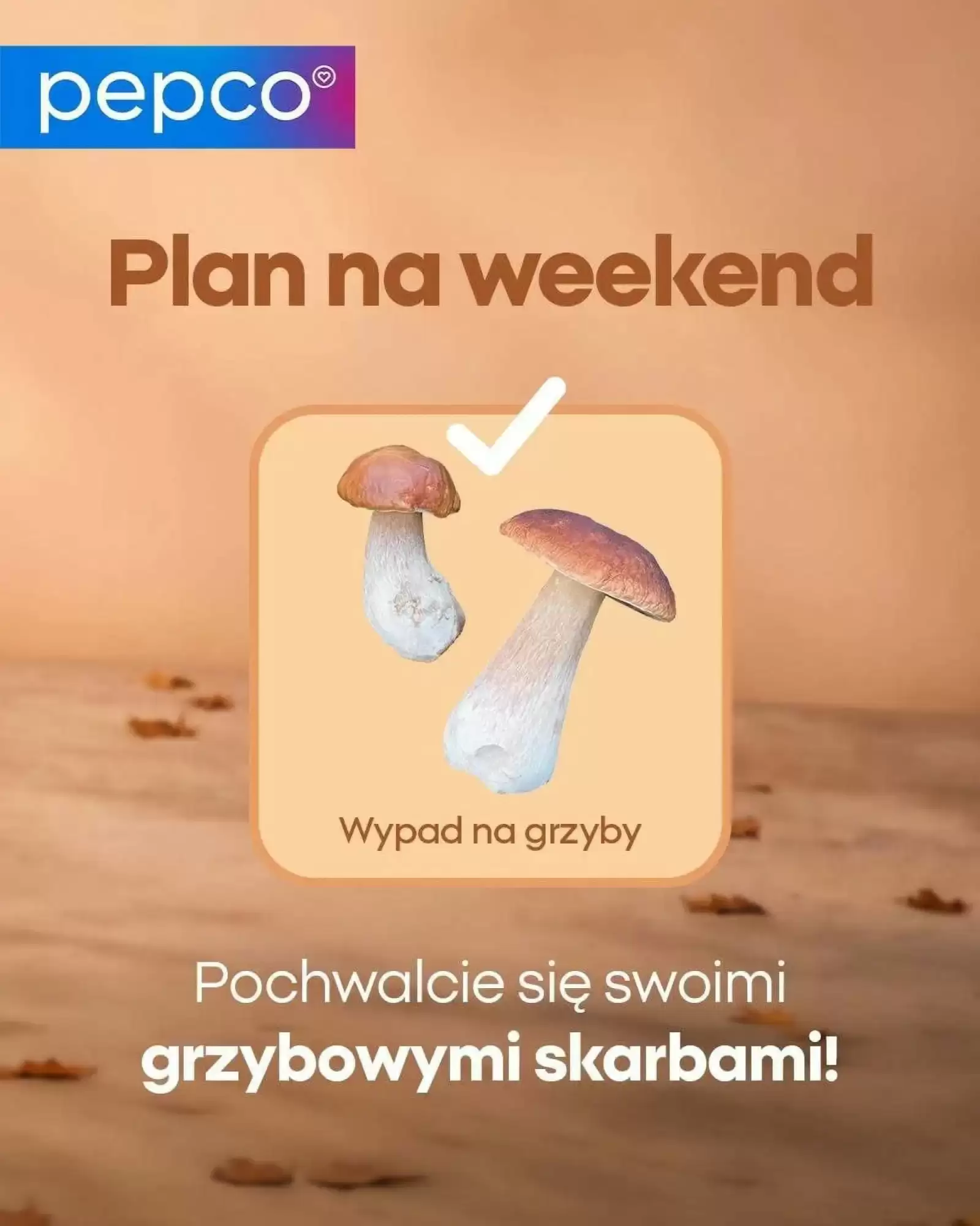 Gazetka PEPCO od 24.09.2026 do 08.10.2026